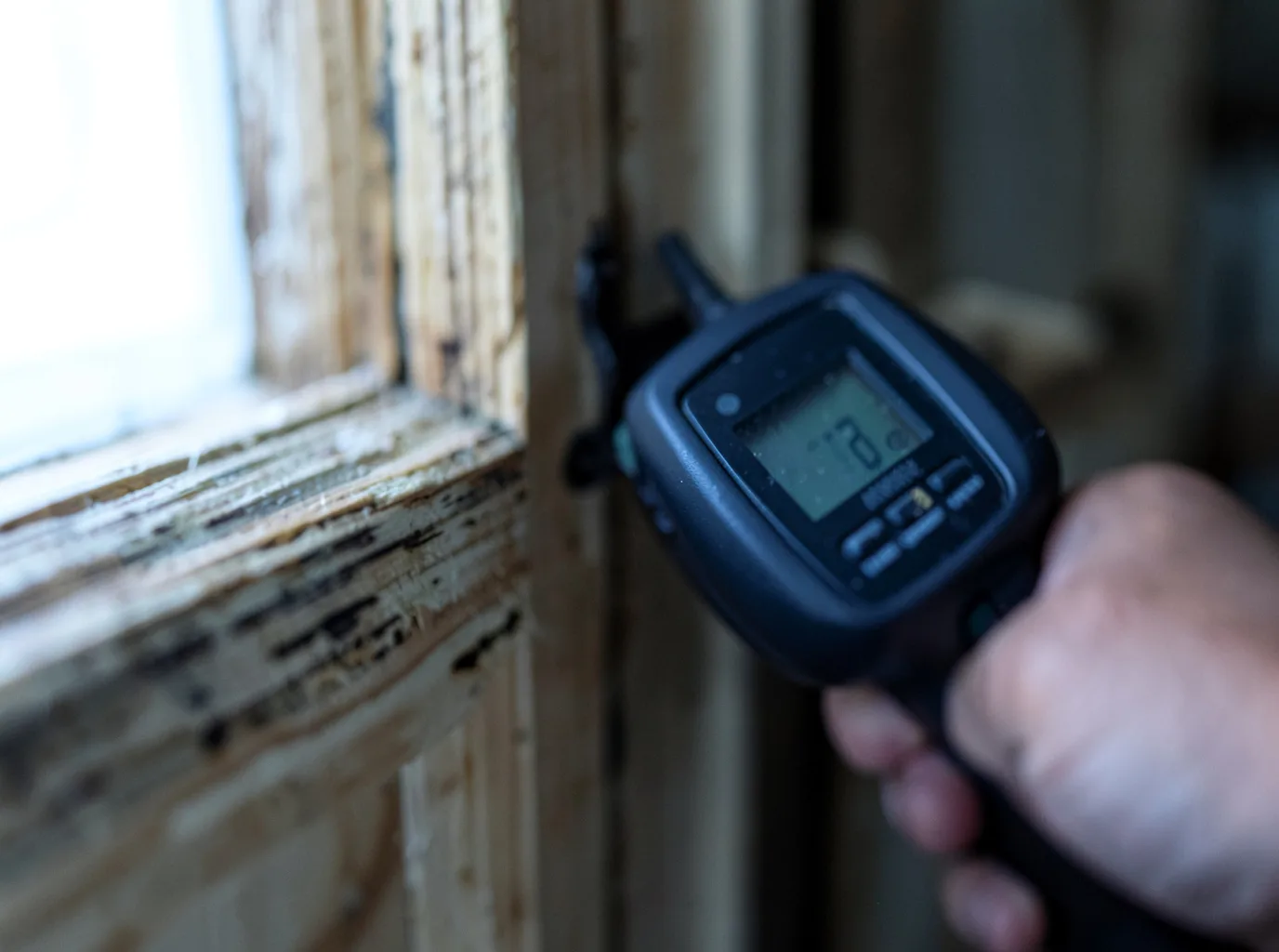 Ceiling Water Damage Repair in Monteview, ID